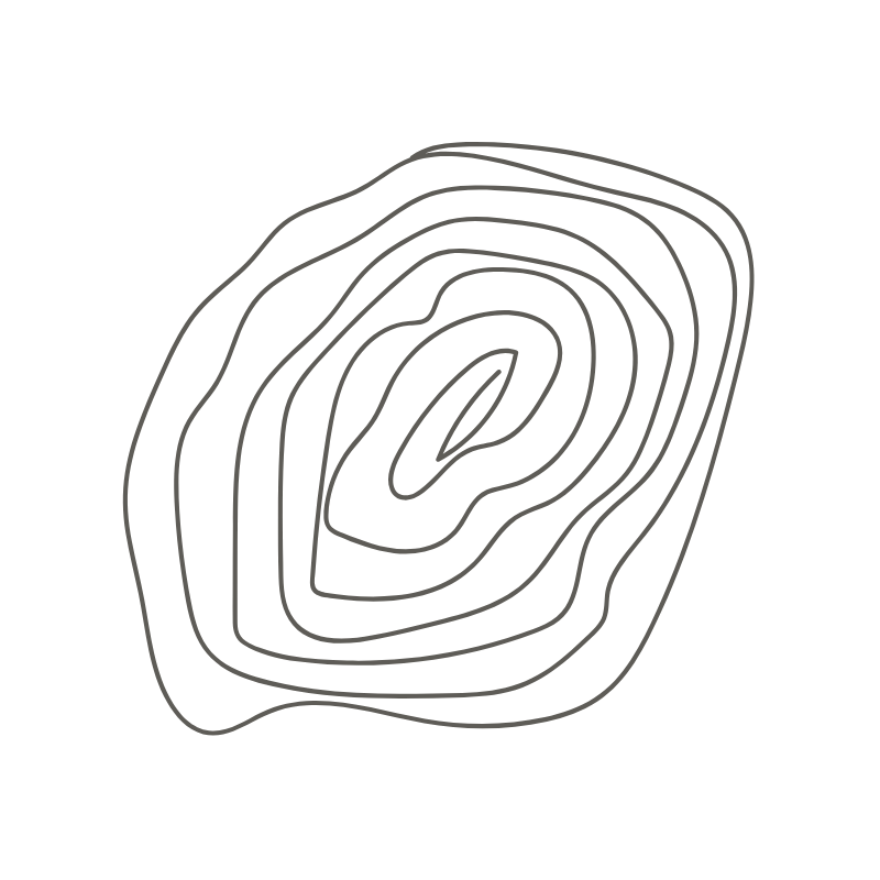 Wood · Growth & Renewal