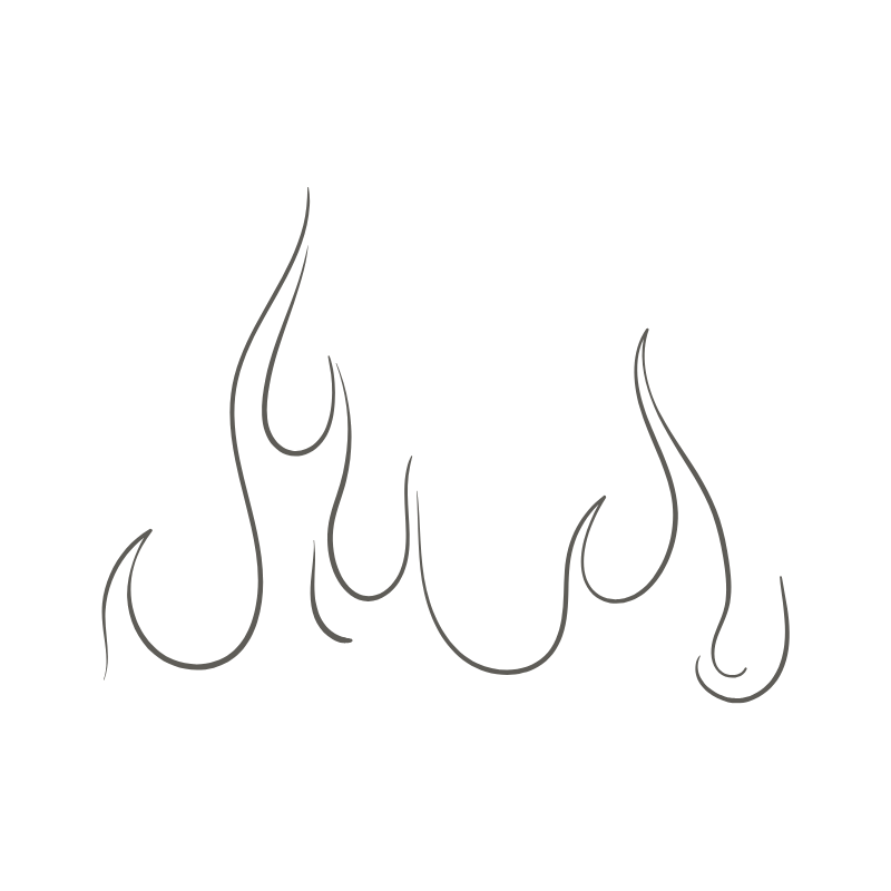 Fire · Passion & Vitality